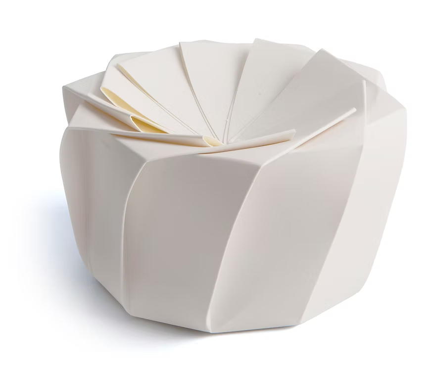 Lotus Origami eco-friendly packaging box