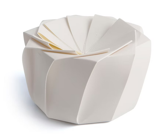 Lotus Origami eco-friendly packaging box